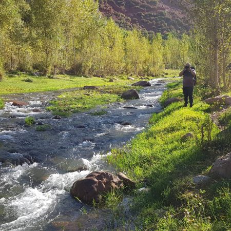 Person photographing a flowing stream surrounded by green trees and rocks